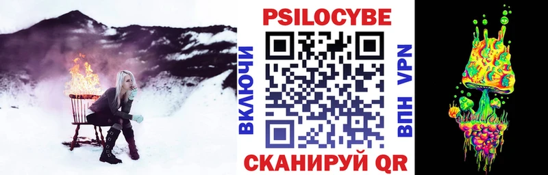 Галлюциногенные грибы Psilocybine cubensis  Купить  Тавда 