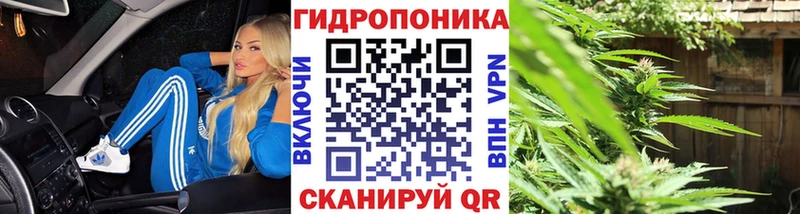 Бошки Шишки SATIVA & INDICA  Купить где  Тавда 